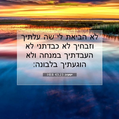 Picture 07 - ישעיה 43:23 HEB - לא הביאת לי שה עלתיך וזבחיך - Bible Verse Picture