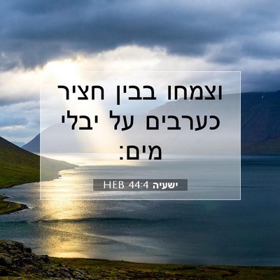 Picture 07 - ישעיה 44:4 HEB - וצמחו בבין חציר כערבים על - Bible Verse Picture