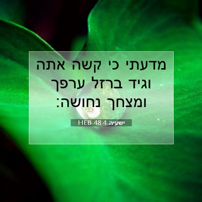 Picture 07 - ישעיה 48:4 HEB - מדעתי כי קשה אתה וגיד ברזל - Bible Verse Picture