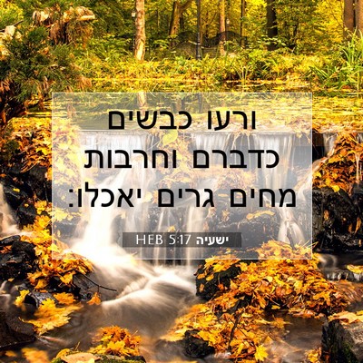 Picture 07 - ישעיה 5:17 HEB - ורעו כבשים כדברם וחרבות - Bible Verse Picture