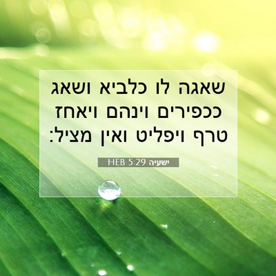 Picture 07 - ישעיה 5:29 HEB - שאגה לו כלביא ושאג ככפירים - Bible Verse Picture