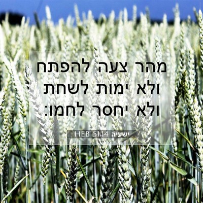 Picture 07 - ישעיה 51:14 HEB - מהר צעה להפתח ולא ימות לשחת - Bible Verse Picture