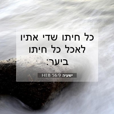 Picture 07 - ישעיה 56:9 HEB - כל חיתו שדי אתיו לאכל כל - Bible Verse Picture