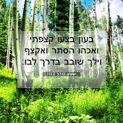 Picture 07 - ישעיה 57:17 HEB - בעון בצעו קצפתי ואכהו הסתר - Bible Verse Picture
