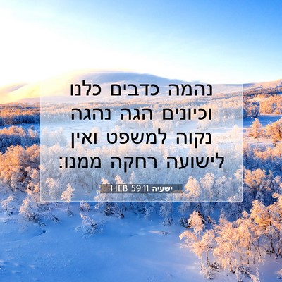 Picture 07 - ישעיה 59:11 HEB - נהמה כדבים כלנו וכיונים - Bible Verse Picture
