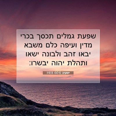 Picture 07 - ישעיה 60:6 HEB - שפעת גמלים תכסך בכרי מדין - Bible Verse Picture