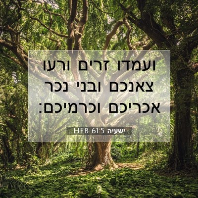 Picture 07 - ישעיה 61:5 HEB - ועמדו זרים ורעו צאנכם ובני - Bible Verse Picture