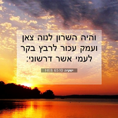 Picture 07 - ישעיה 65:10 HEB - והיה השרון לנוה צאן ועמק - Bible Verse Picture