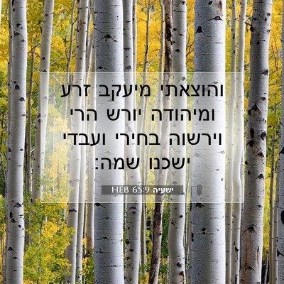 Picture 07 - ישעיה 65:9 HEB - והוצאתי מיעקב זרע ומיהודה - Bible Verse Picture