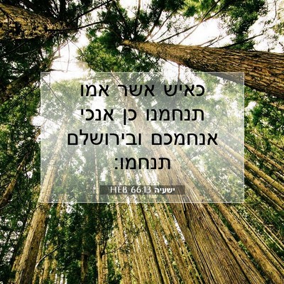 Picture 07 - ישעיה 66:13 HEB - כאיש אשר אמו תנחמנו כן אנכי - Bible Verse Picture