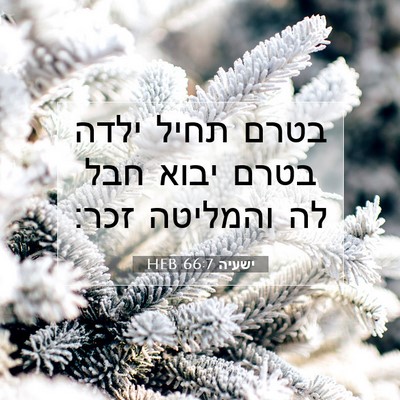 Picture 07 - ישעיה 66:7 HEB - בטרם תחיל ילדה בטרם יבוא - Bible Verse Picture