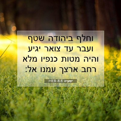Picture 07 - ישעיה 8:8 HEB - וחלף ביהודה שטף ועבר עד - Bible Verse Picture