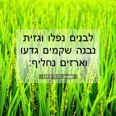 Picture 07 - ישעיה 9:10 HEB - לבנים נפלו וגזית נבנה - Bible Verse Picture