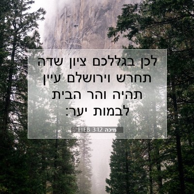 Picture 07 - מיכה 3:12 HEB - לכן בגללכם ציון שדה תחרש - Bible Verse Picture