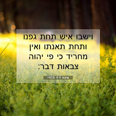 Picture 07 - מיכה 4:4 HEB - וישבו איש תחת גפנו ותחת - Bible Verse Picture