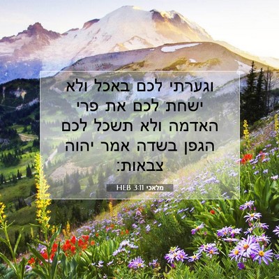 Picture 07 - מלאכי 3:11 HEB - וגערתי לכם באכל ולא ישחת - Bible Verse Picture