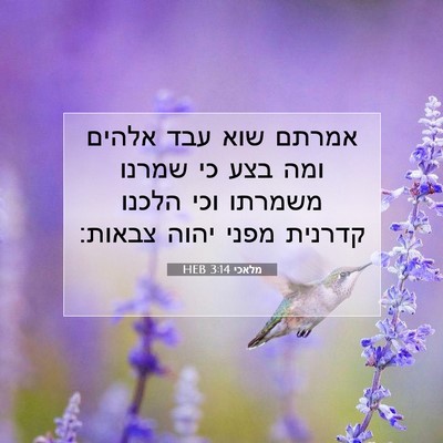 Picture 07 - מלאכי 3:14 HEB - אמרתם שוא עבד אלהים ומה בצע - Bible Verse Picture