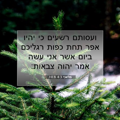 Picture 07 - מלאכי 4:3 HEB - ועסותם רשעים כי יהיו אפר - Bible Verse Picture