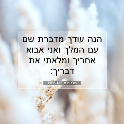 Picture 07 - מלכים א 1:14 HEB - הנה עודך מדברת שם עם המלך - Bible Verse Picture