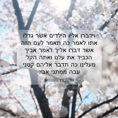 Picture 07 - מלכים א 12:10 HEB - וידברו אליו הילדים אשר - Bible Verse Picture
