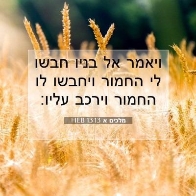 Picture 07 - מלכים א 13:13 HEB - ויאמר אל בניו חבשו לי החמור - Bible Verse Picture