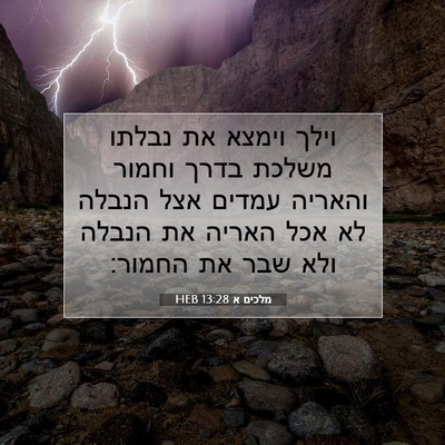 Picture 07 - מלכים א 13:28 HEB - וילך וימצא את נבלתו משלכת - Bible Verse Picture