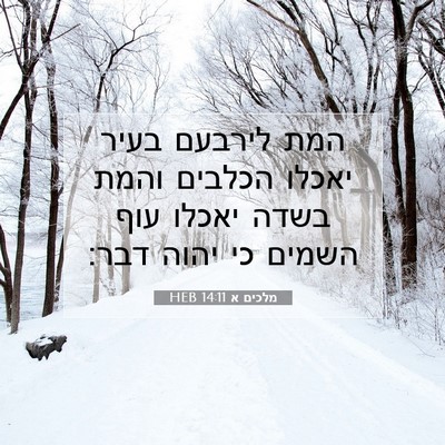 Picture 07 - מלכים א 14:11 HEB - המת לירבעם בעיר יאכלו - Bible Verse Picture