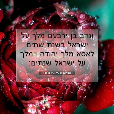 Picture 07 - מלכים א 15:25 HEB - ונדב בן ירבעם מלך על ישראל - Bible Verse Picture