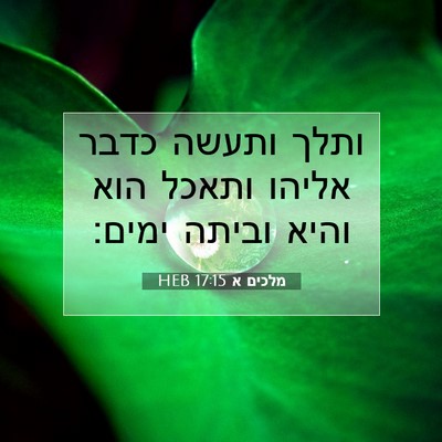 Picture 07 - מלכים א 17:15 HEB - ותלך ותעשה כדבר אליהו - Bible Verse Picture