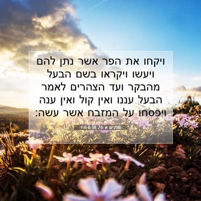 Picture 07 - מלכים א 18:26 HEB - ויקחו את הפר אשר נתן להם - Bible Verse Picture