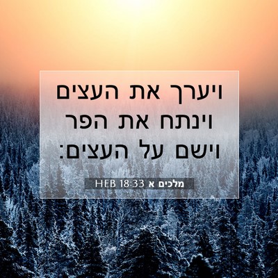 Picture 07 - מלכים א 18:33 HEB - ויערך את העצים וינתח את הפר - Bible Verse Picture