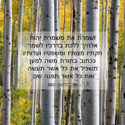 Picture 07 - מלכים א 2:3 HEB - ושמרת את משמרת יהוה אלהיך - Bible Verse Picture