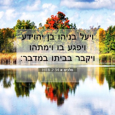 Picture 07 - מלכים א 2:34 HEB - ויעל בניהו בן יהוידע ויפגע - Bible Verse Picture