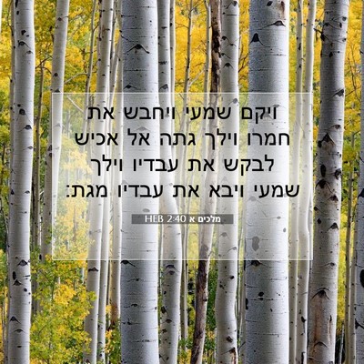Picture 07 - מלכים א 2:40 HEB - ויקם שמעי ויחבש את חמרו - Bible Verse Picture