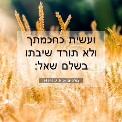 Picture 07 - מלכים א 2:6 HEB - ועשית כחכמתך ולא תורד - Bible Verse Picture