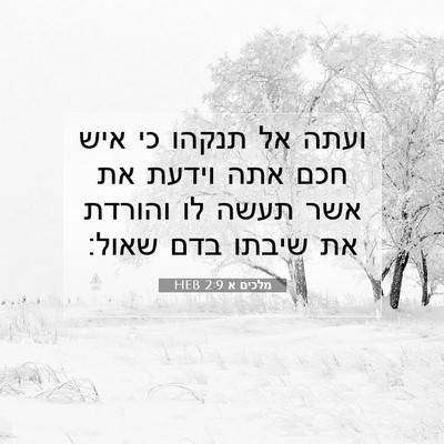 Picture 07 - מלכים א 2:9 HEB - ועתה אל תנקהו כי איש חכם - Bible Verse Picture