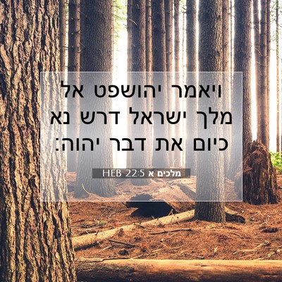 Picture 07 - מלכים א 22:5 HEB - ויאמר יהושפט אל מלך ישראל - Bible Verse Picture