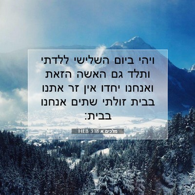 Picture 07 - מלכים א 3:18 HEB - ויהי ביום השלישי ללדתי - Bible Verse Picture