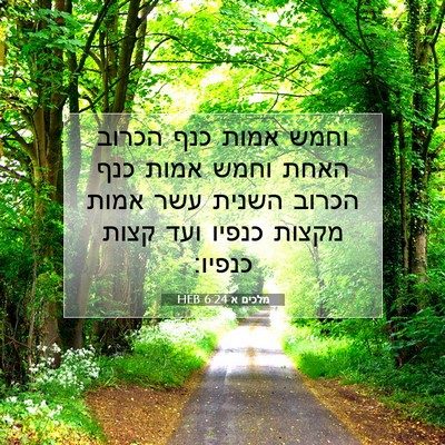 Picture 07 - מלכים א 6:24 HEB - וחמש אמות כנף הכרוב האחת - Bible Verse Picture