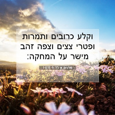 Picture 07 - מלכים א 6:35 HEB - וקלע כרובים ותמרות ופטרי - Bible Verse Picture