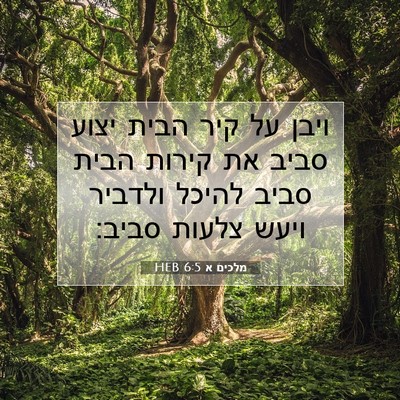 Picture 07 - מלכים א 6:5 HEB - ויבן על קיר הבית יצוע סביב - Bible Verse Picture
