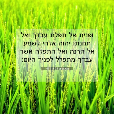Picture 07 - מלכים א 8:28 HEB - ופנית אל תפלת עבדך ואל - Bible Verse Picture