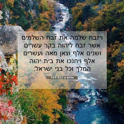 Picture 07 - מלכים א 8:63 HEB - ויזבח שלמה את זבח השלמים - Bible Verse Picture