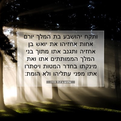 Picture 07 - מלכים ב 11:2 HEB - ותקח יהושבע בת המלך יורם - Bible Verse Picture