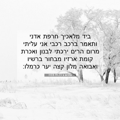 Picture 07 - מלכים ב 19:23 HEB - ביד מלאכיך חרפת אדני ותאמר - Bible Verse Picture
