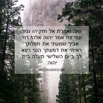 Picture 07 - מלכים ב 20:5 HEB - שוב ואמרת אל חזקיהו נגיד - Bible Verse Picture