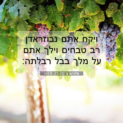 Picture 07 - מלכים ב 25:20 HEB - ויקח אתם נבוזראדן רב טבחים - Bible Verse Picture