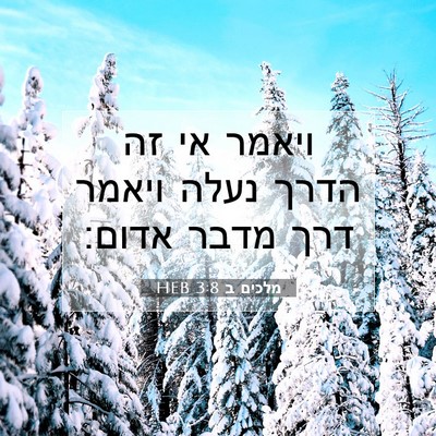 Picture 07 - מלכים ב 3:8 HEB - ויאמר אי זה הדרך נעלה ויאמר - Bible Verse Picture