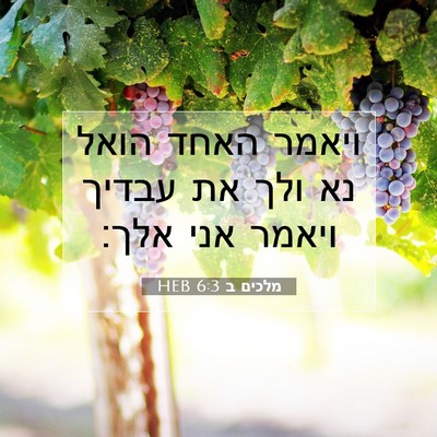 Picture 07 - מלכים ב 6:3 HEB - ויאמר האחד הואל נא ולך את - Bible Verse Picture