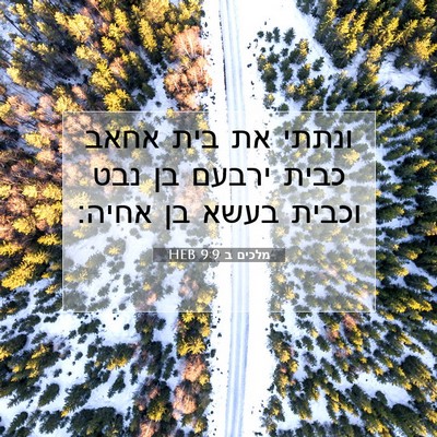 Picture 07 - מלכים ב 9:9 HEB - ונתתי את בית אחאב כבית - Bible Verse Picture